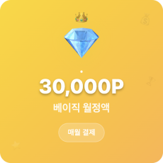 본문요약-AI3300
