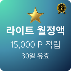 본문요약-AI라이트월정액